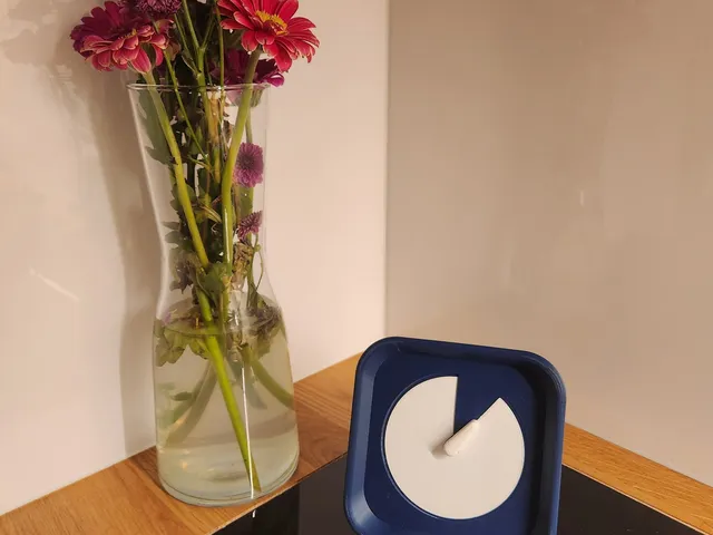 Visual Timer / Child timer