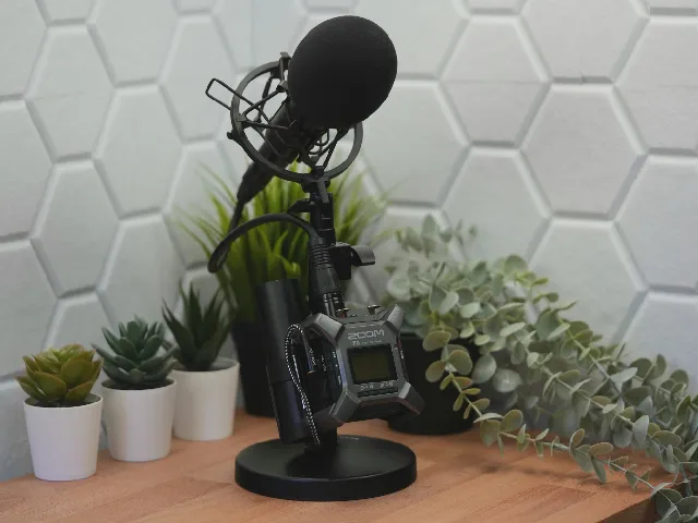 Zoom F3 mic mount