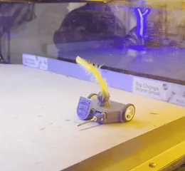 Edward II - 150g Antweight Robot