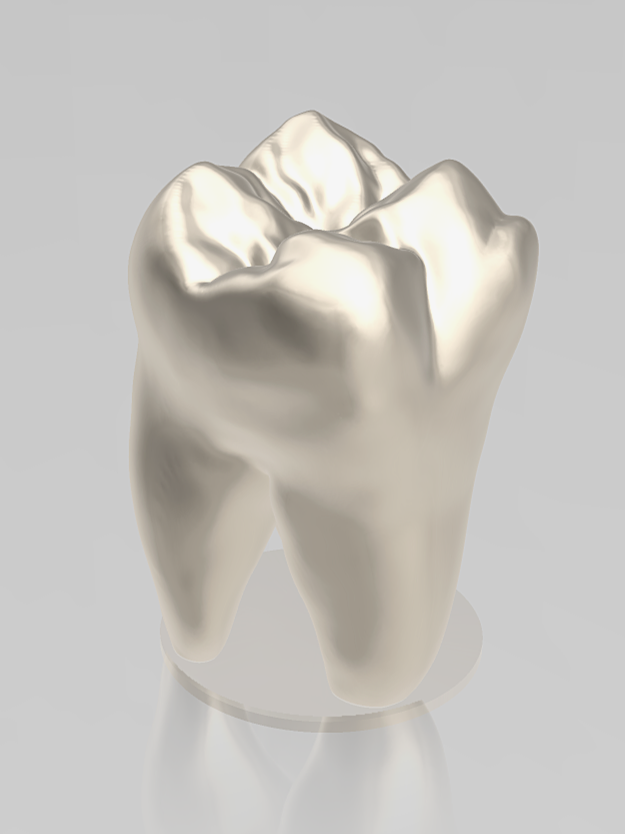 Miniatura 4 do modelo 3D Tooth Molar study Model