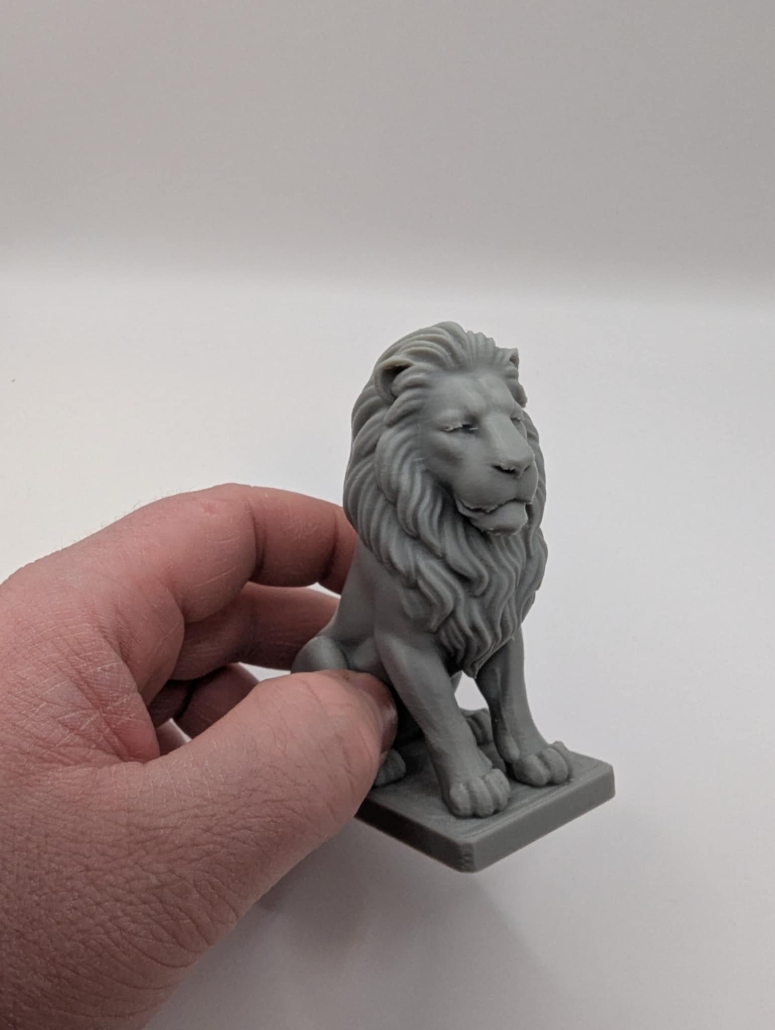 Majestic Sitting Lion