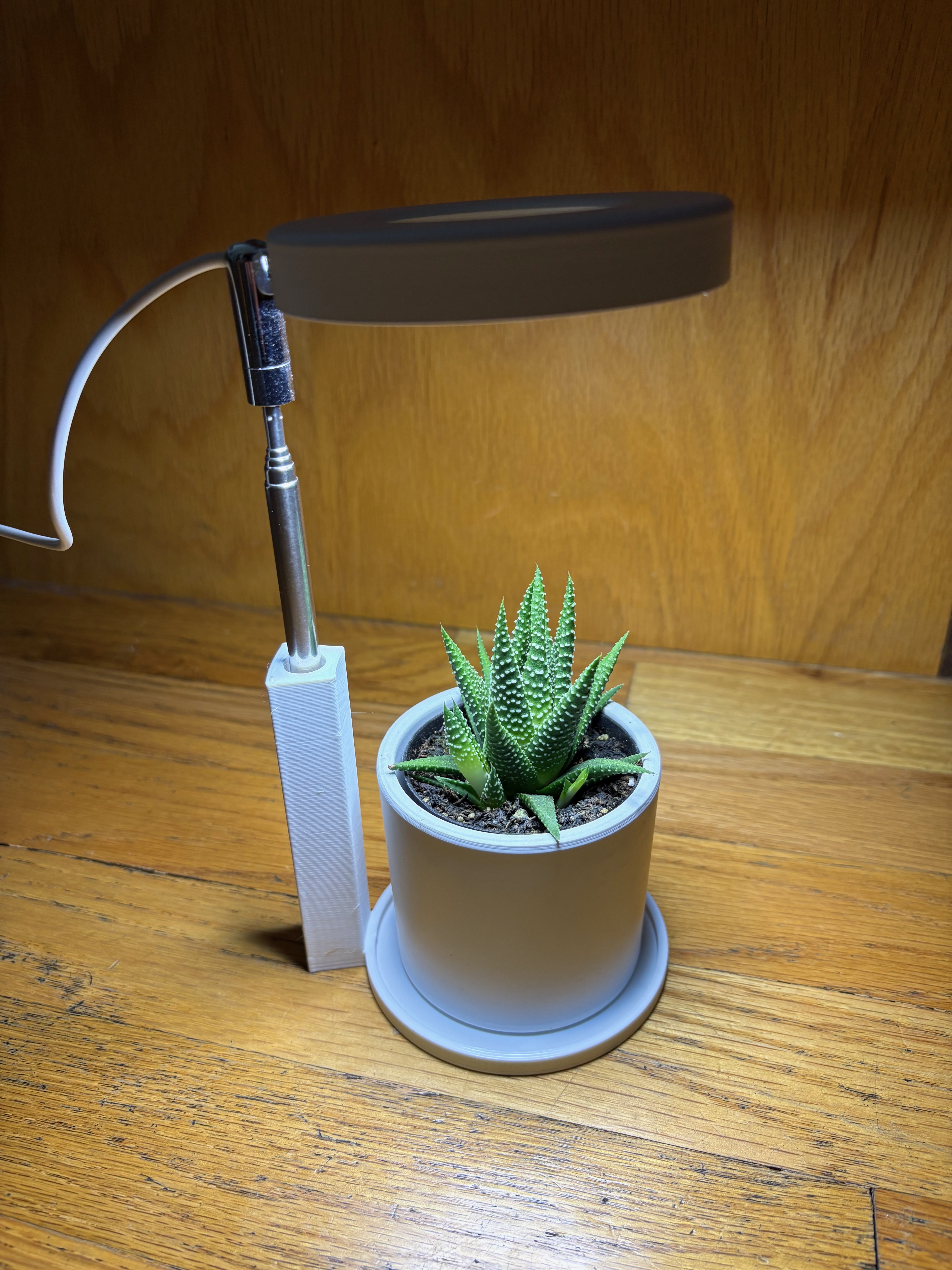 Succulent and Plant LED Light Support