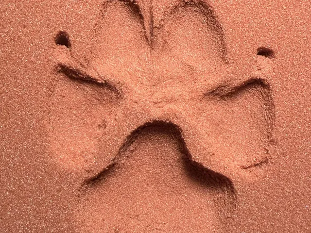Paw Print