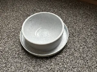 Cat Food Dish (with anti-ant moat)