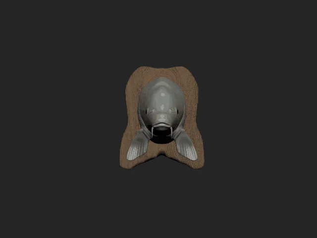 Common Carp Head Wall Trophy