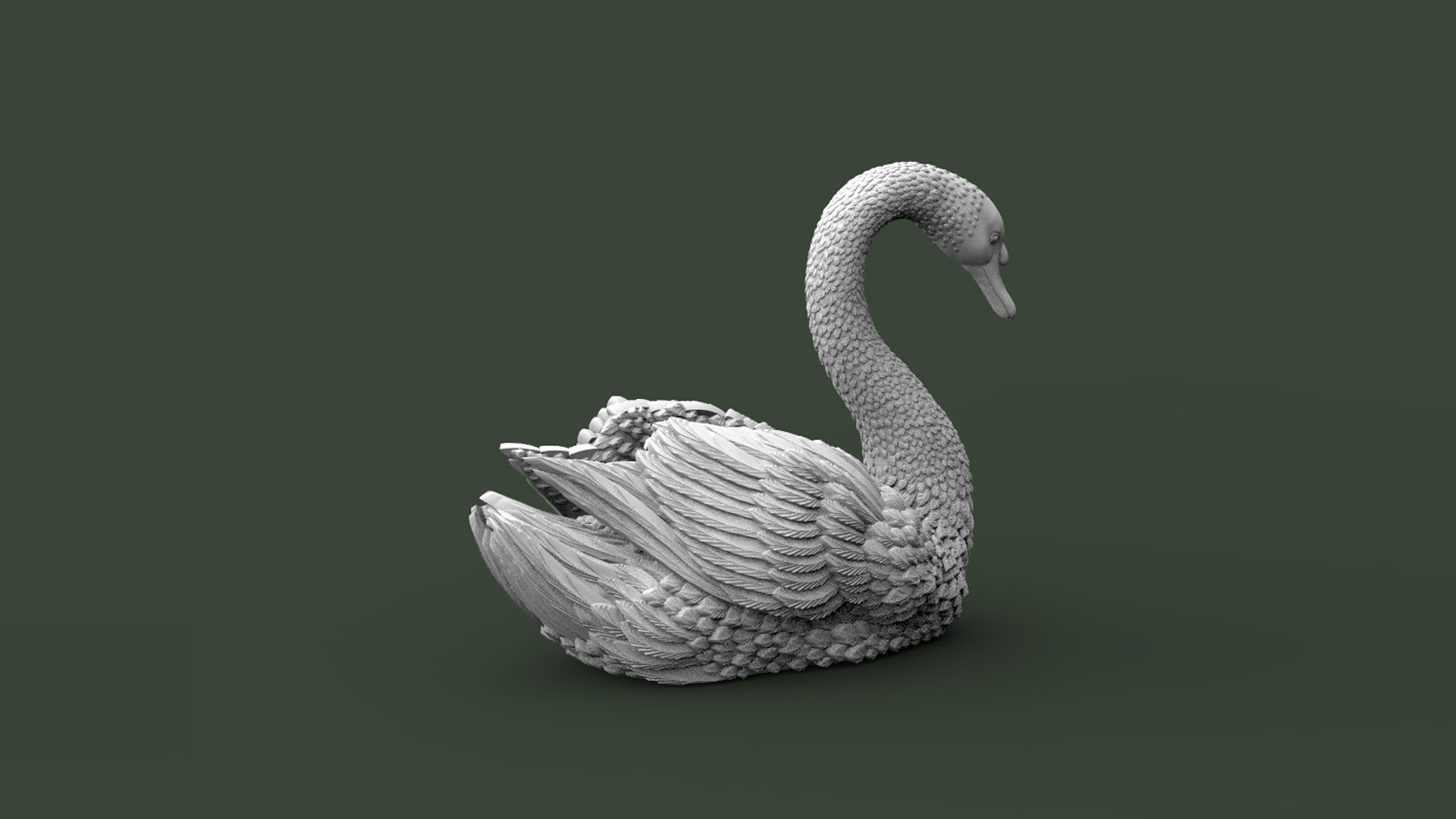 BIRD SWAN — thumbnail 6