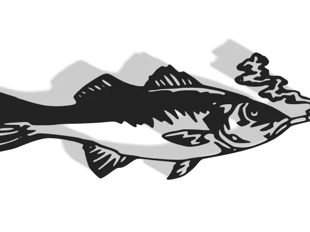 Fish Decor