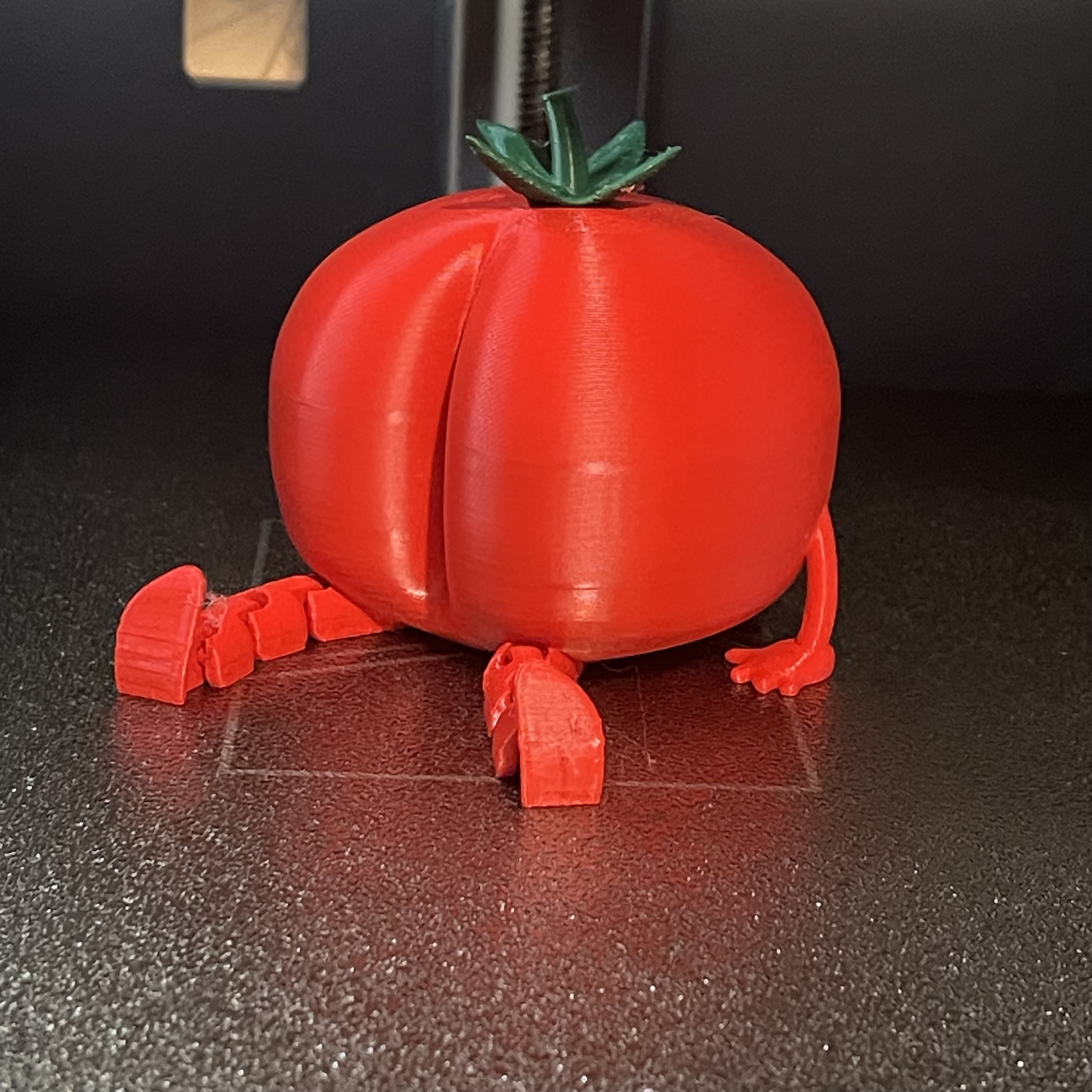 Friendly Articulated Tomato