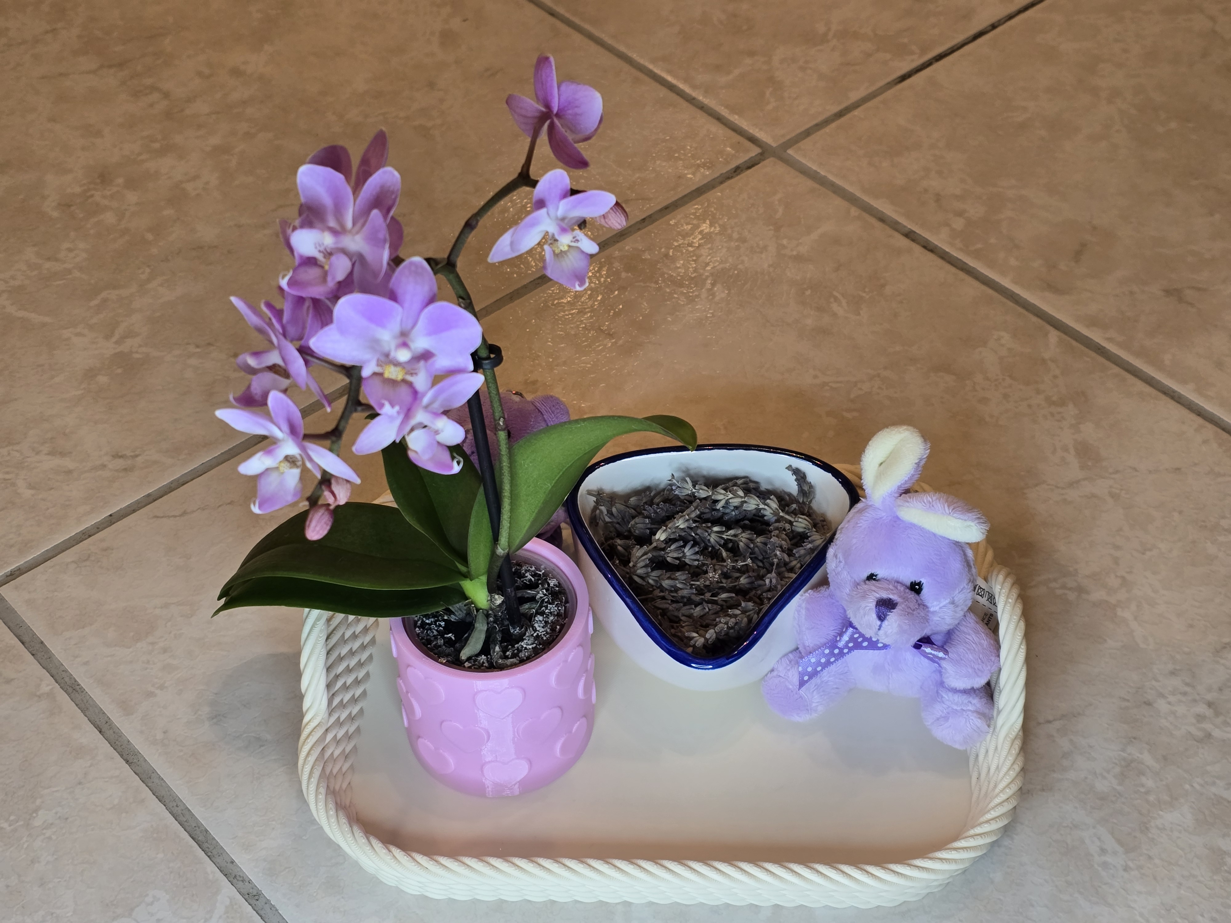 Heart flower pot — miniatura 2