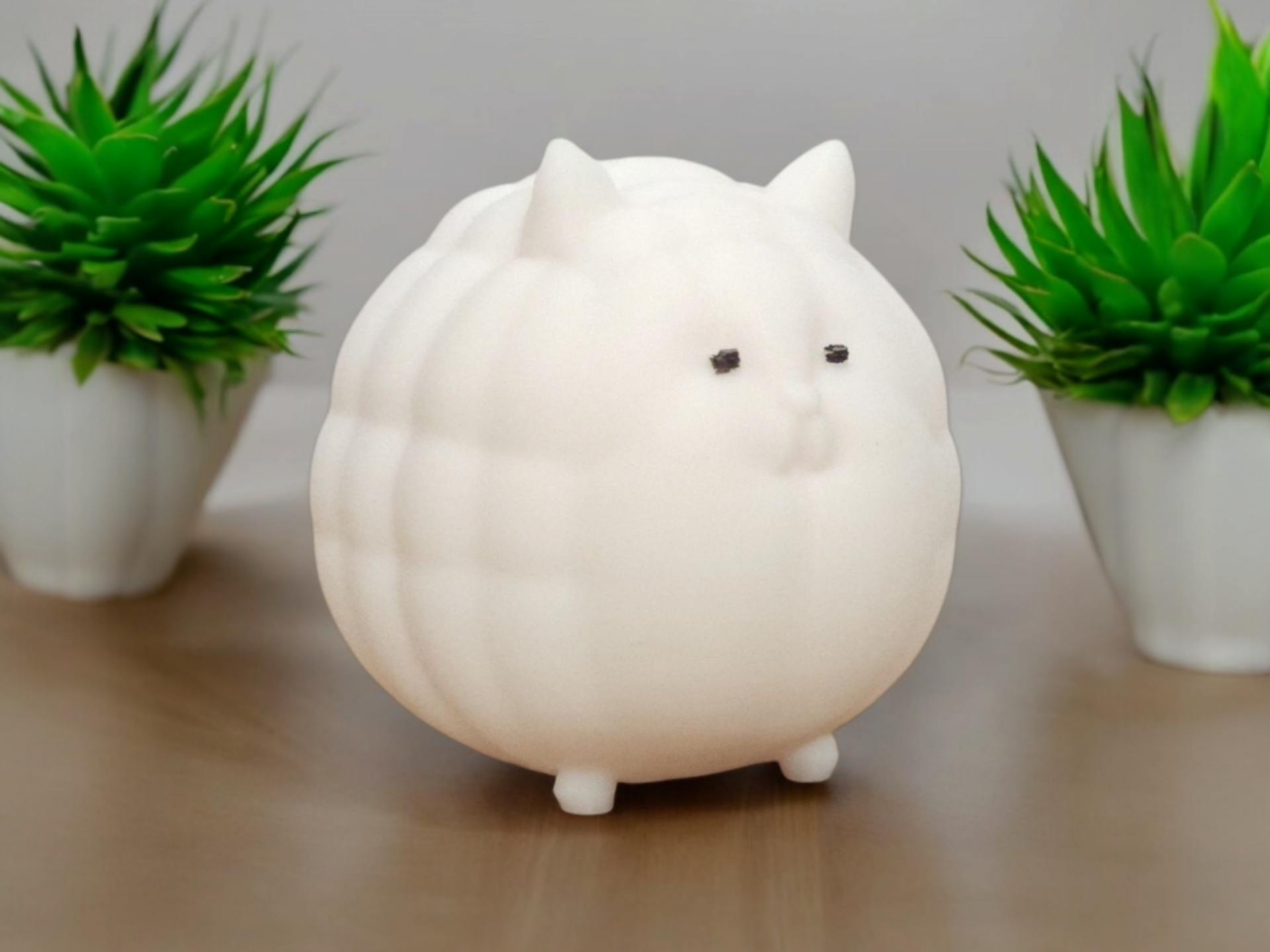 Cute Chubby Cat