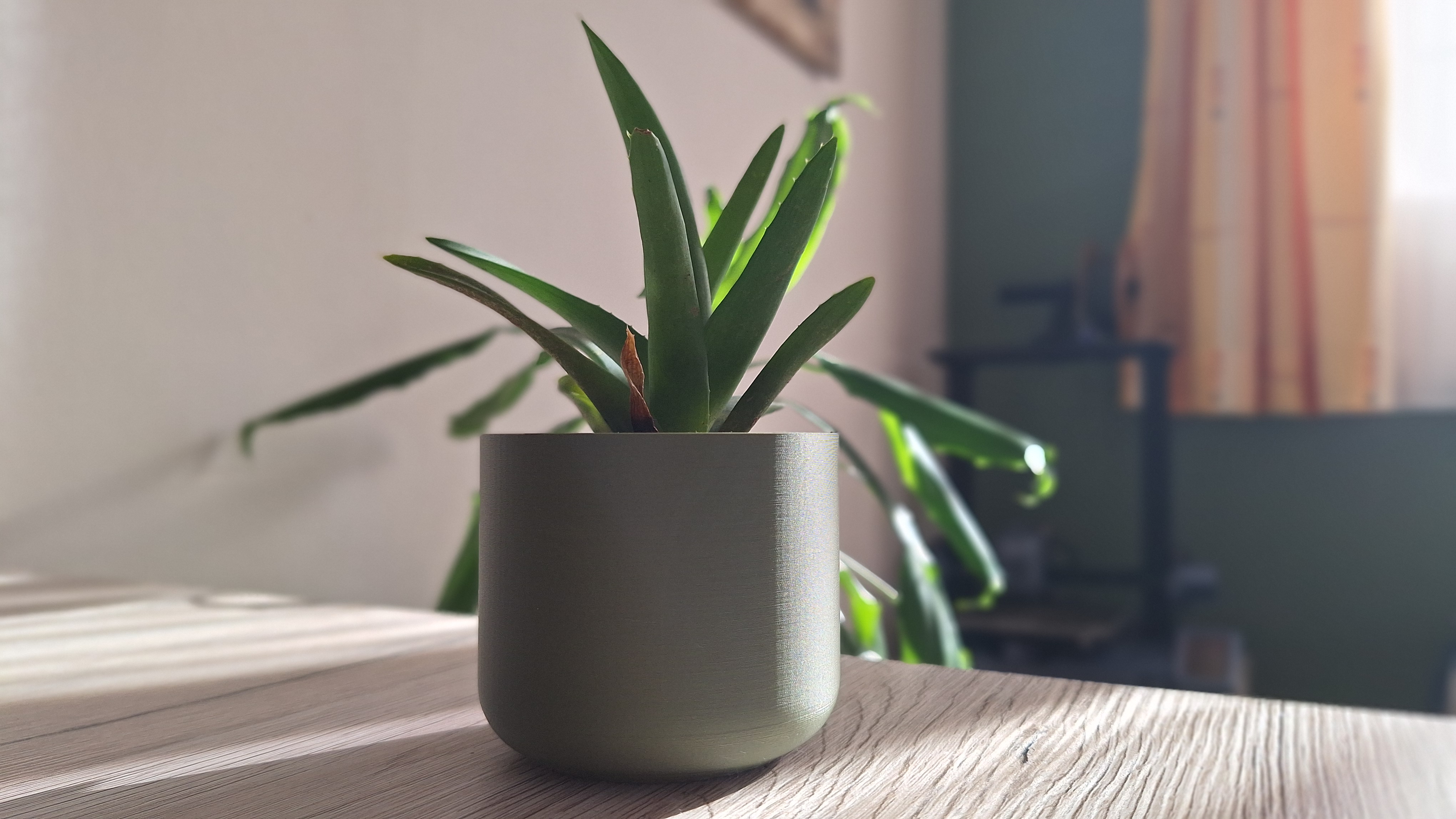 Plant Pot