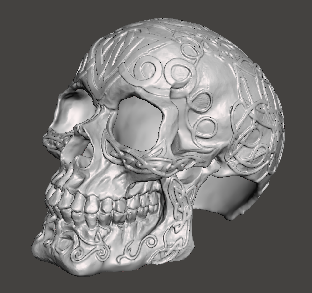Celtic skull hide