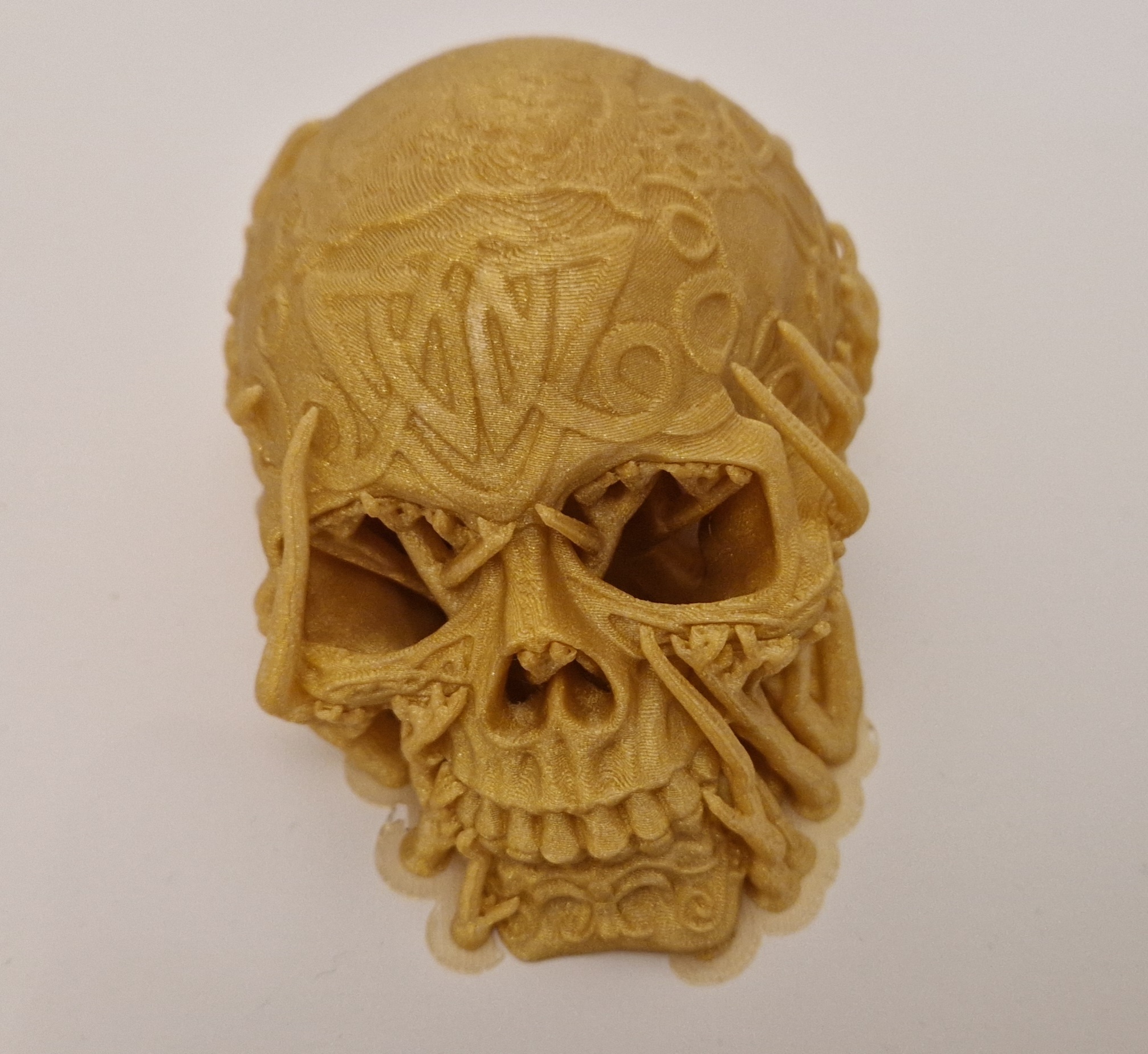 Miniatura 4 do modelo 3D Celtic skull hide
