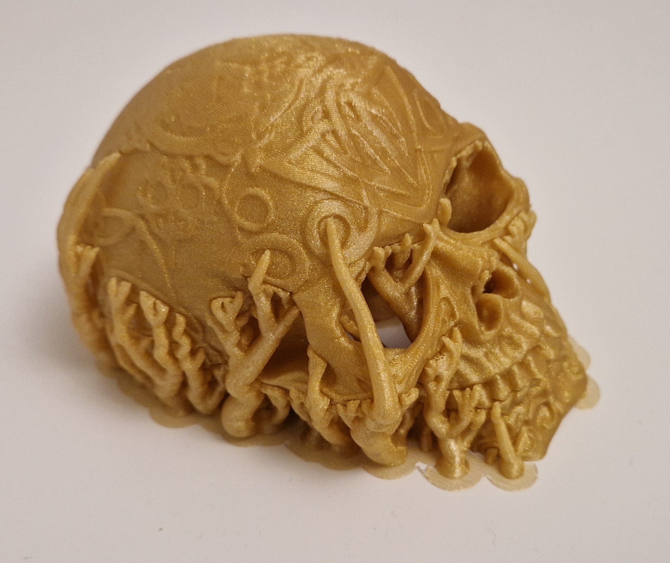 Miniatura 6 do modelo 3D Celtic skull hide