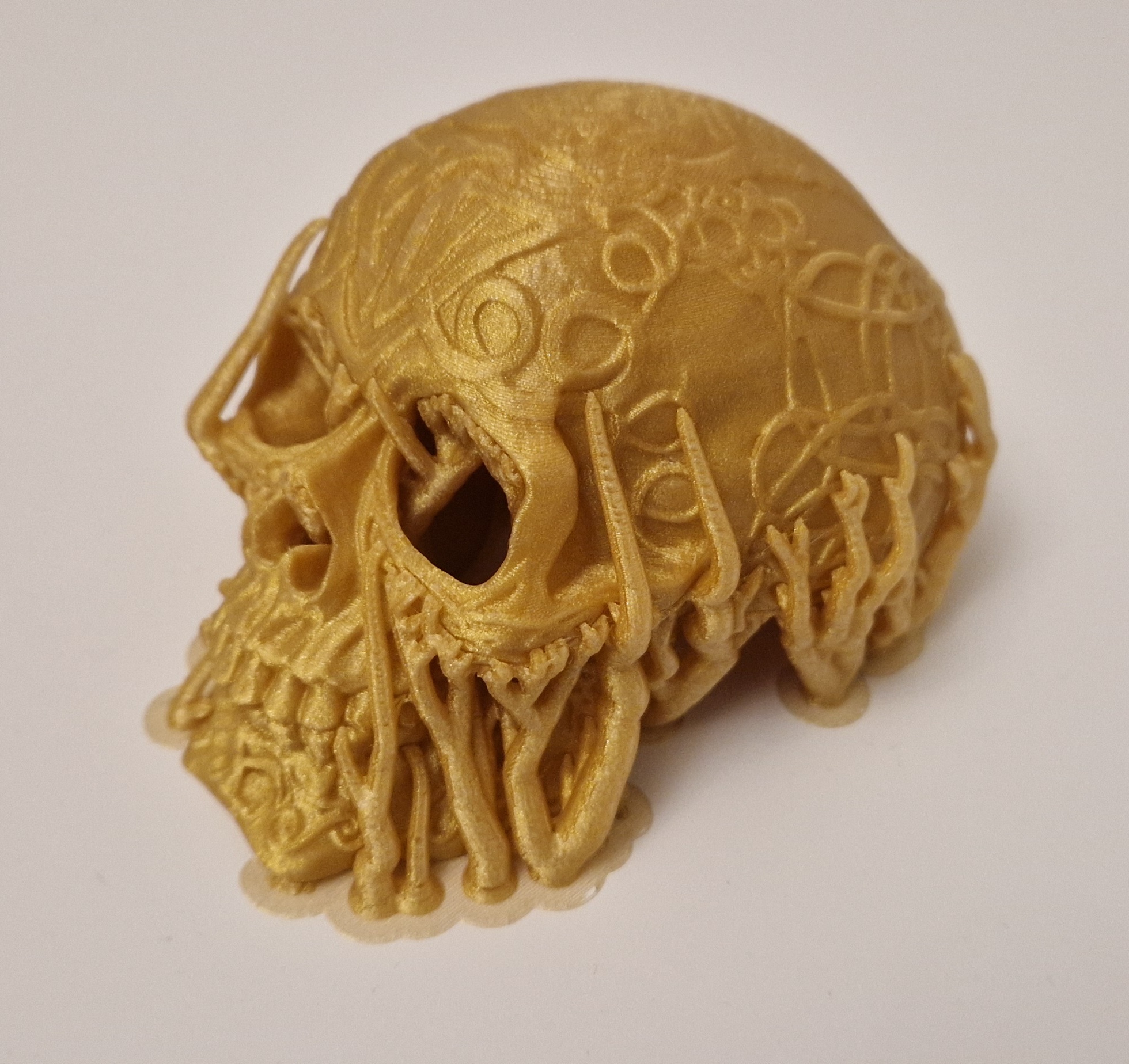 Miniatura 5 do modelo 3D Celtic skull hide