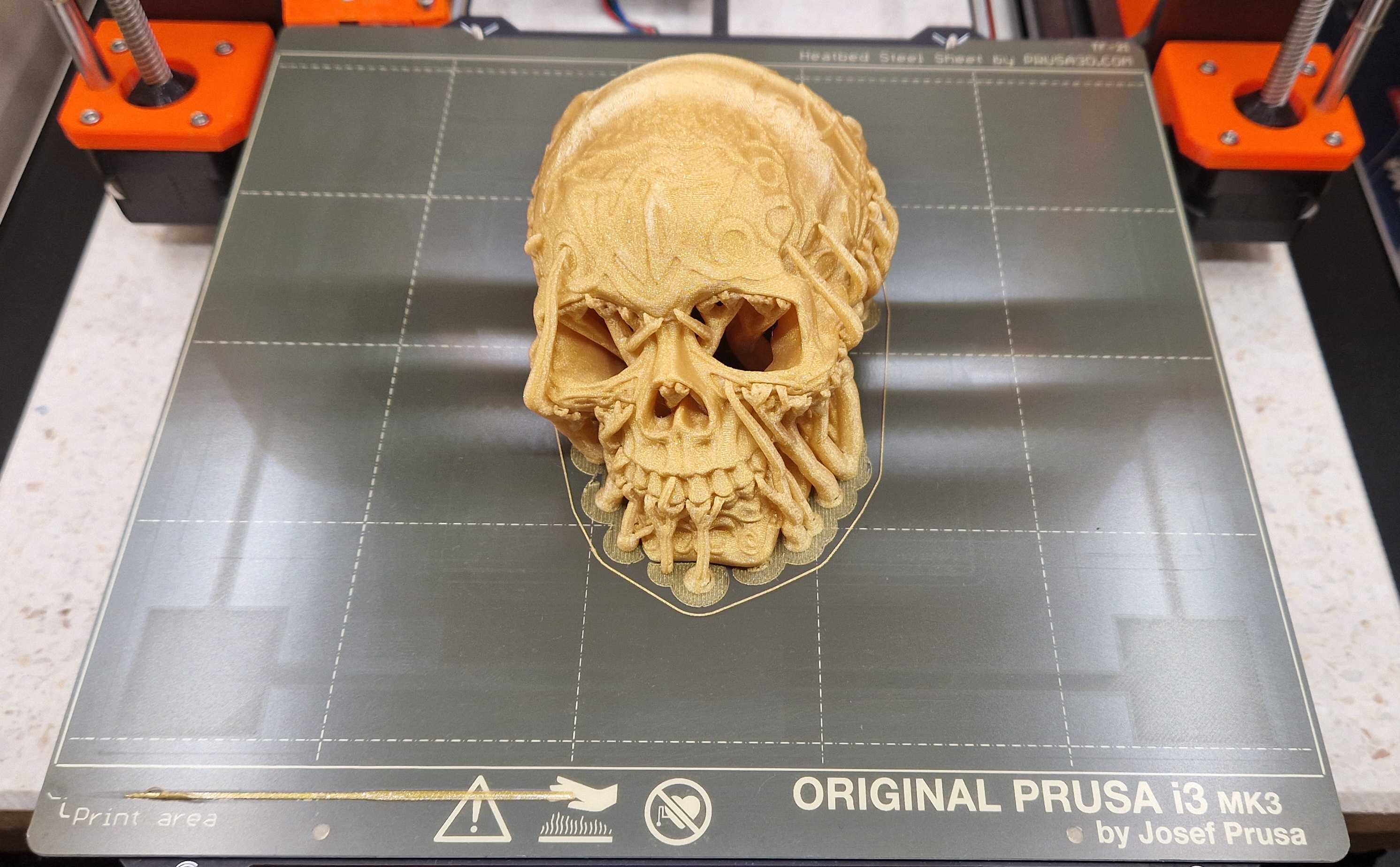 Miniatura 9 do modelo 3D Celtic skull hide