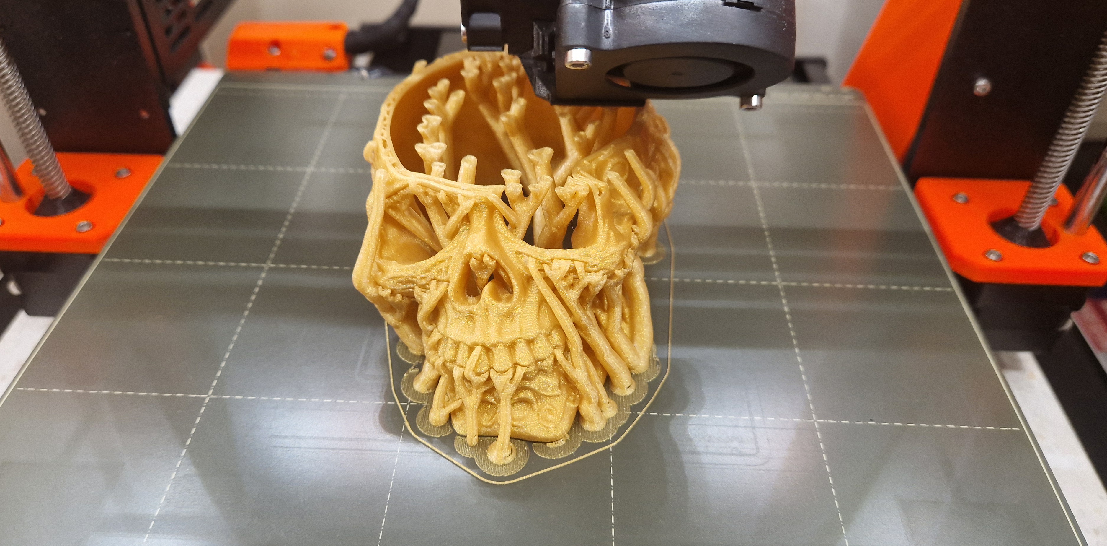 Miniatura 10 do modelo 3D Celtic skull hide