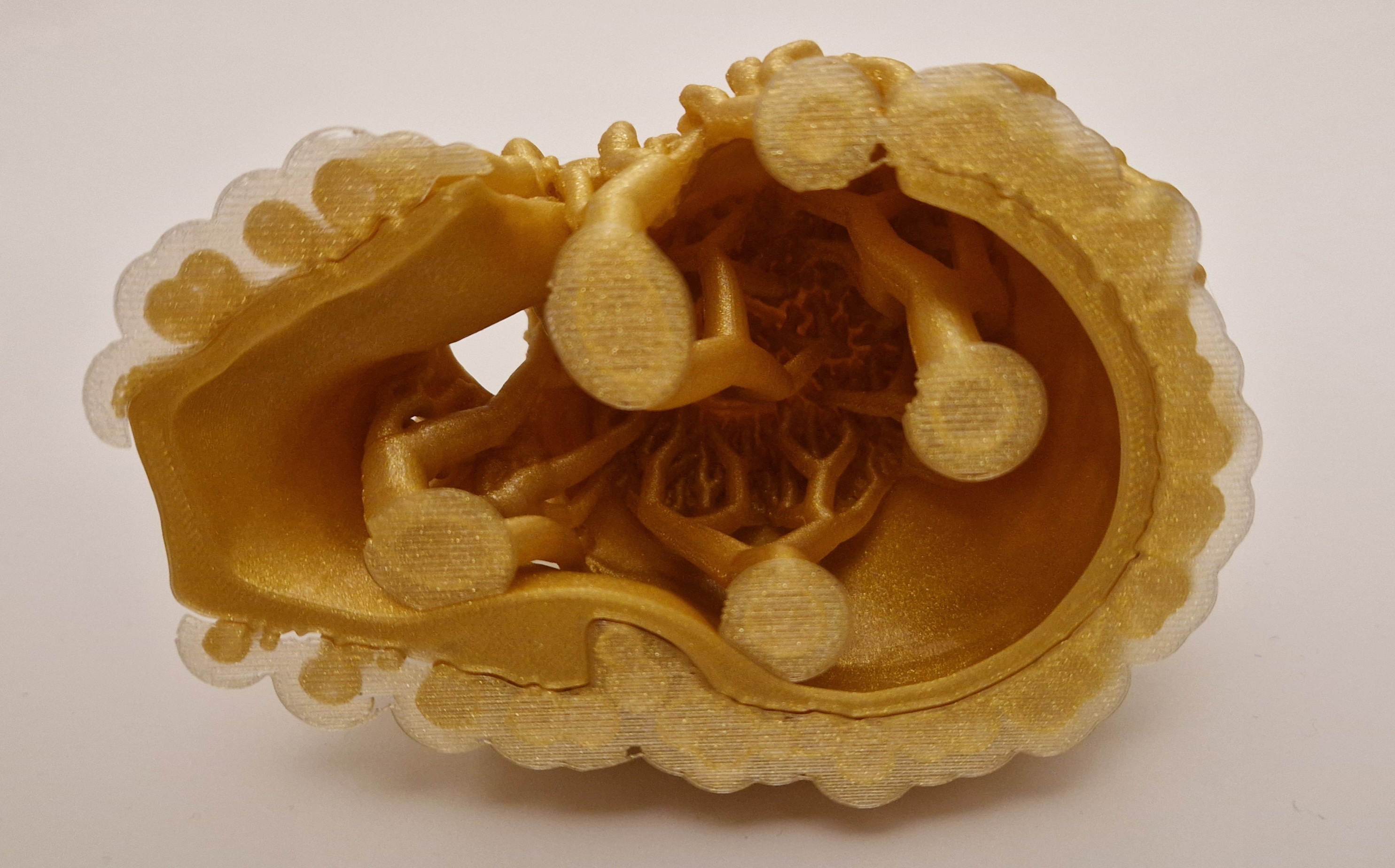 Miniatura 11 do modelo 3D Celtic skull hide
