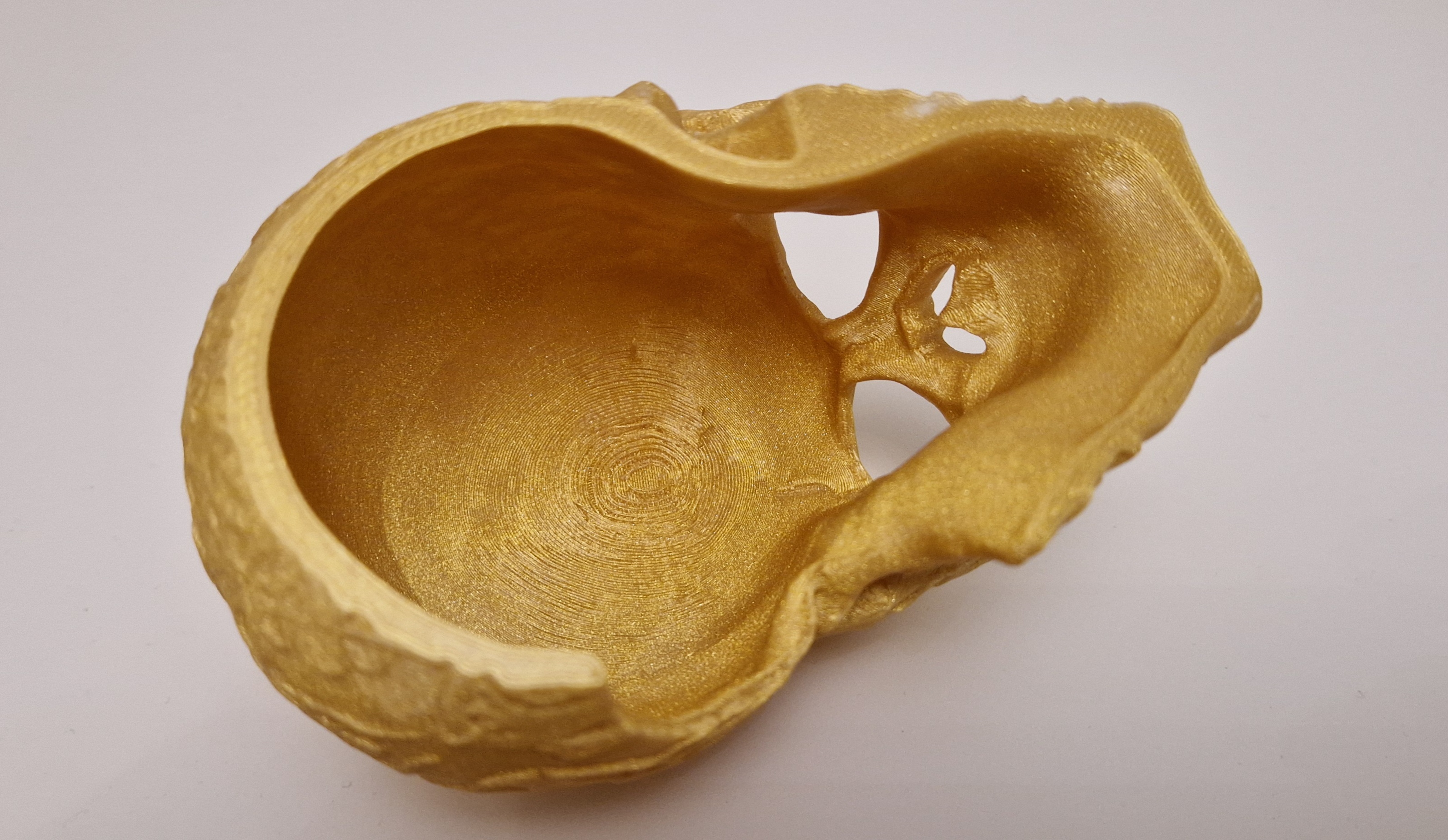 Miniatura 12 do modelo 3D Celtic skull hide