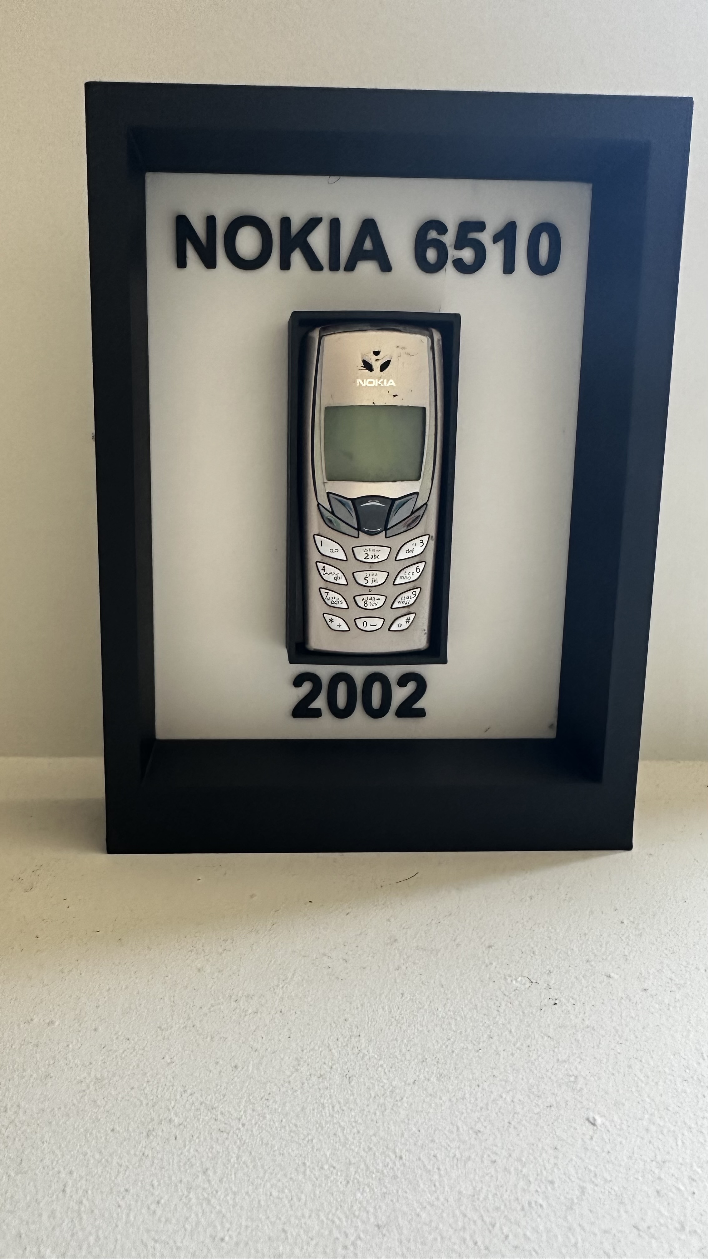 Nokia 6510 Display frame