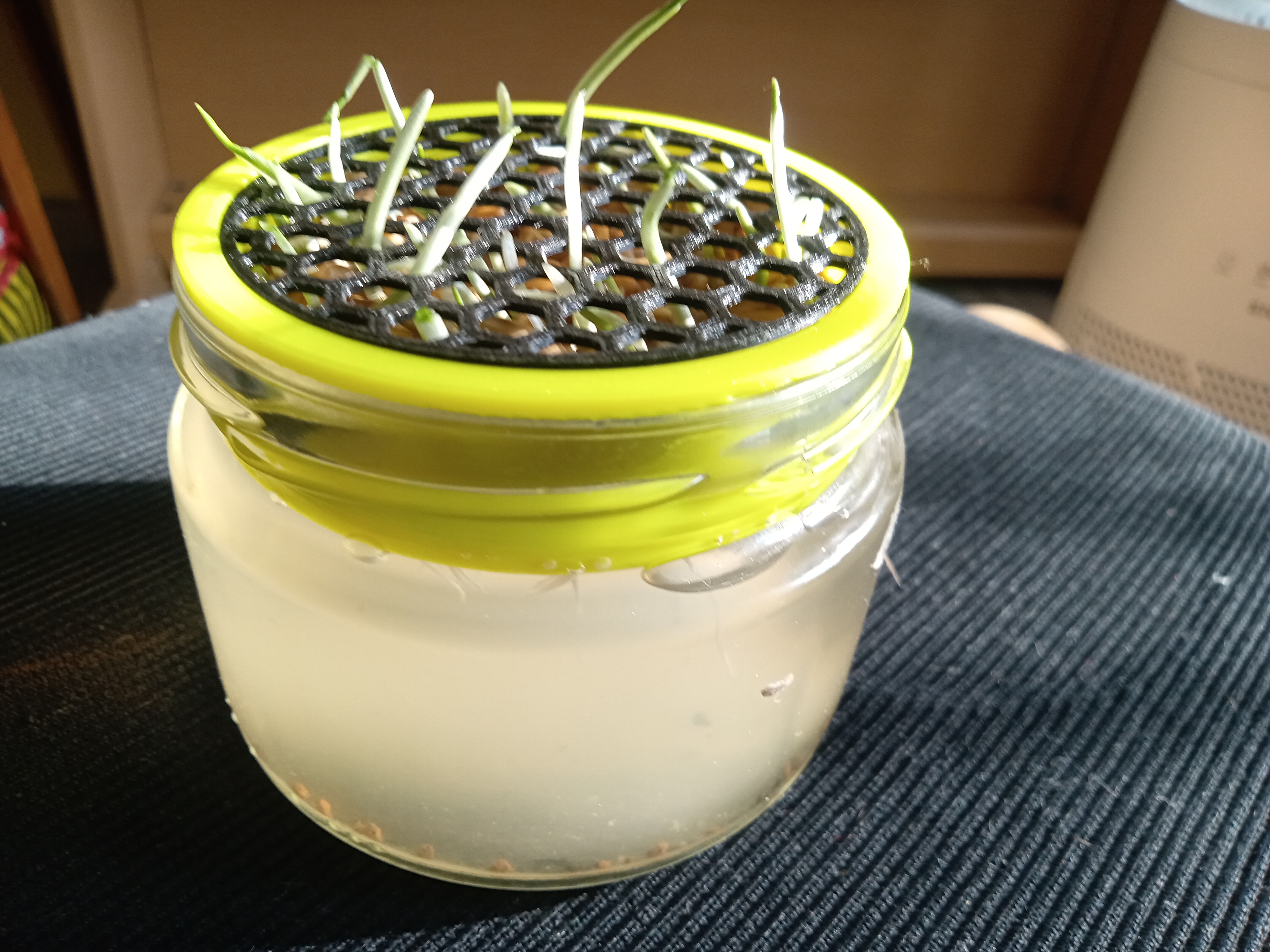 Cat Grass — miniatura 3