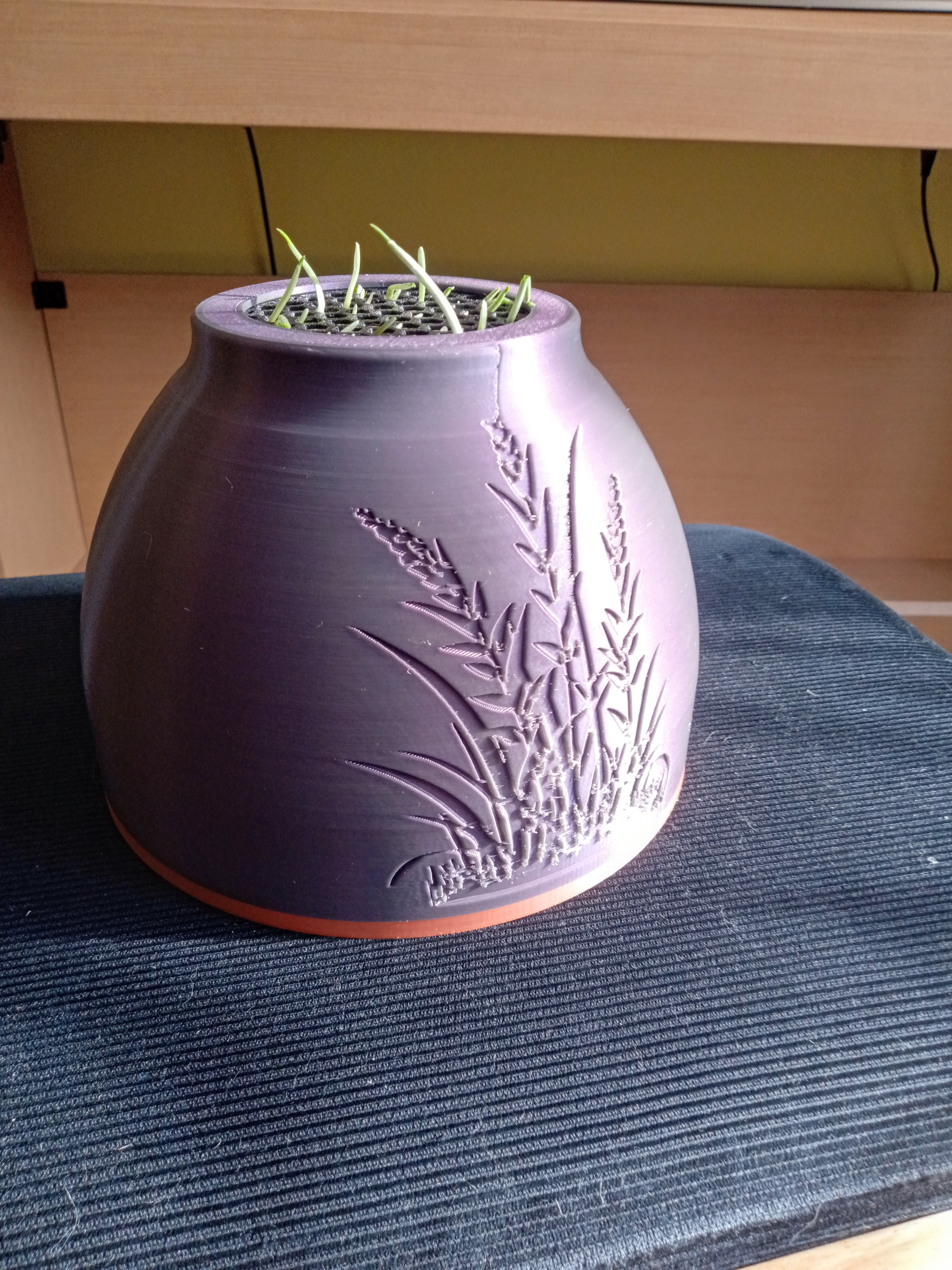 Cat Grass — miniatura 2