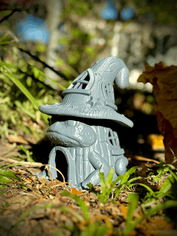 Wizard Warty's hut