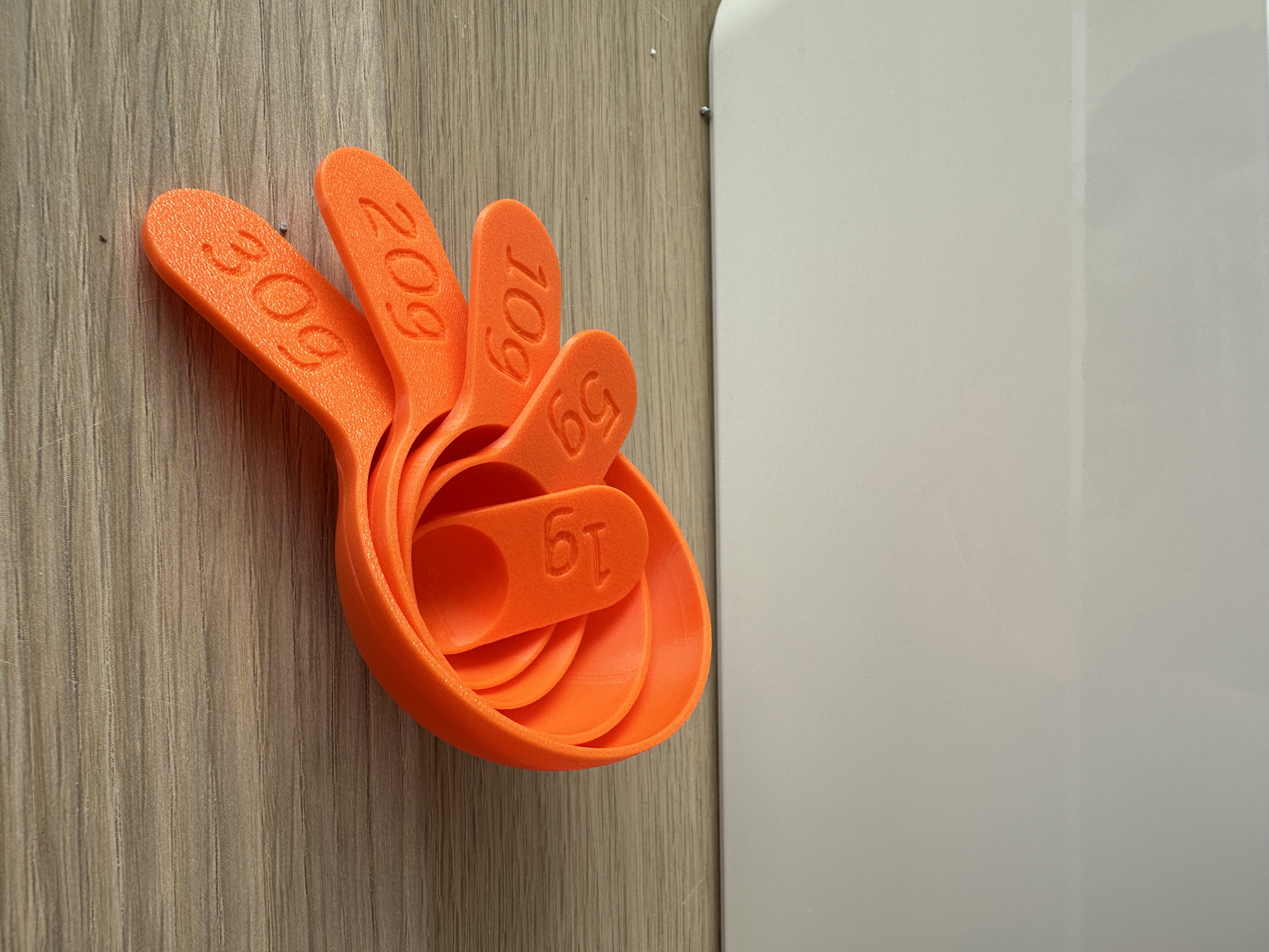 Dry Cat Food Measuring Spoons