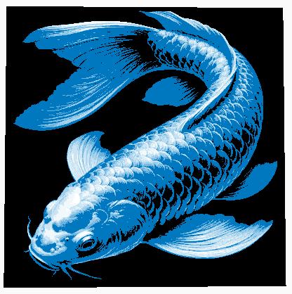 Hueforge Koi Fish