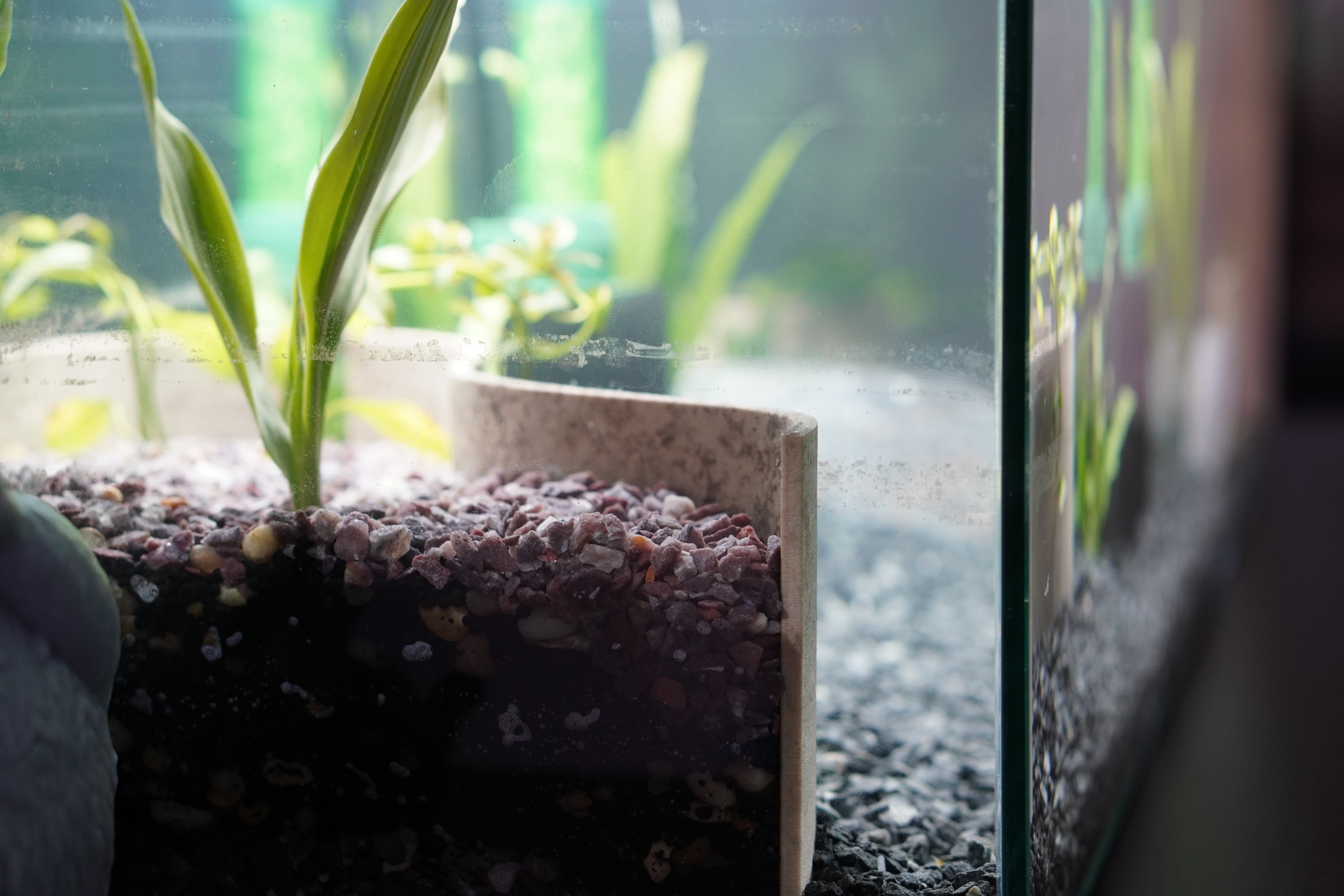 Aquarium Retaining Wall for Planted Tanks — thumbnail 6