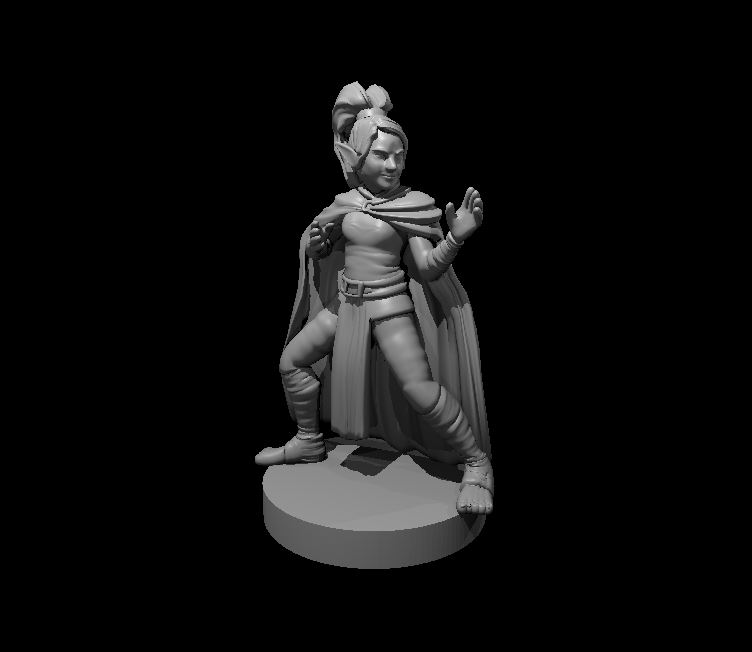 Monk Collection 3 by MZ4250 | Download free STL model | Printables.com