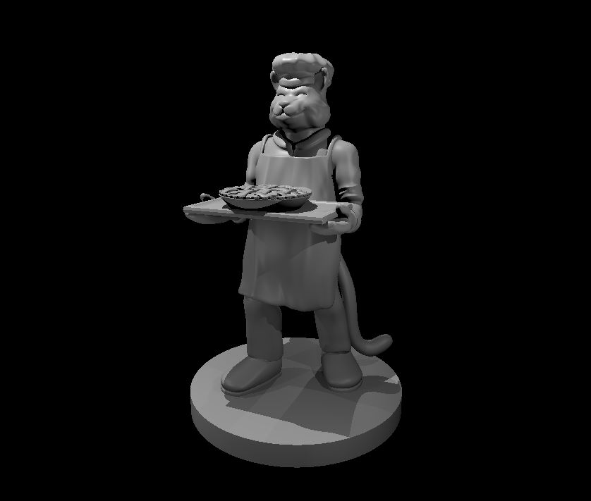 Misc PC and NPCs — miniatura 28