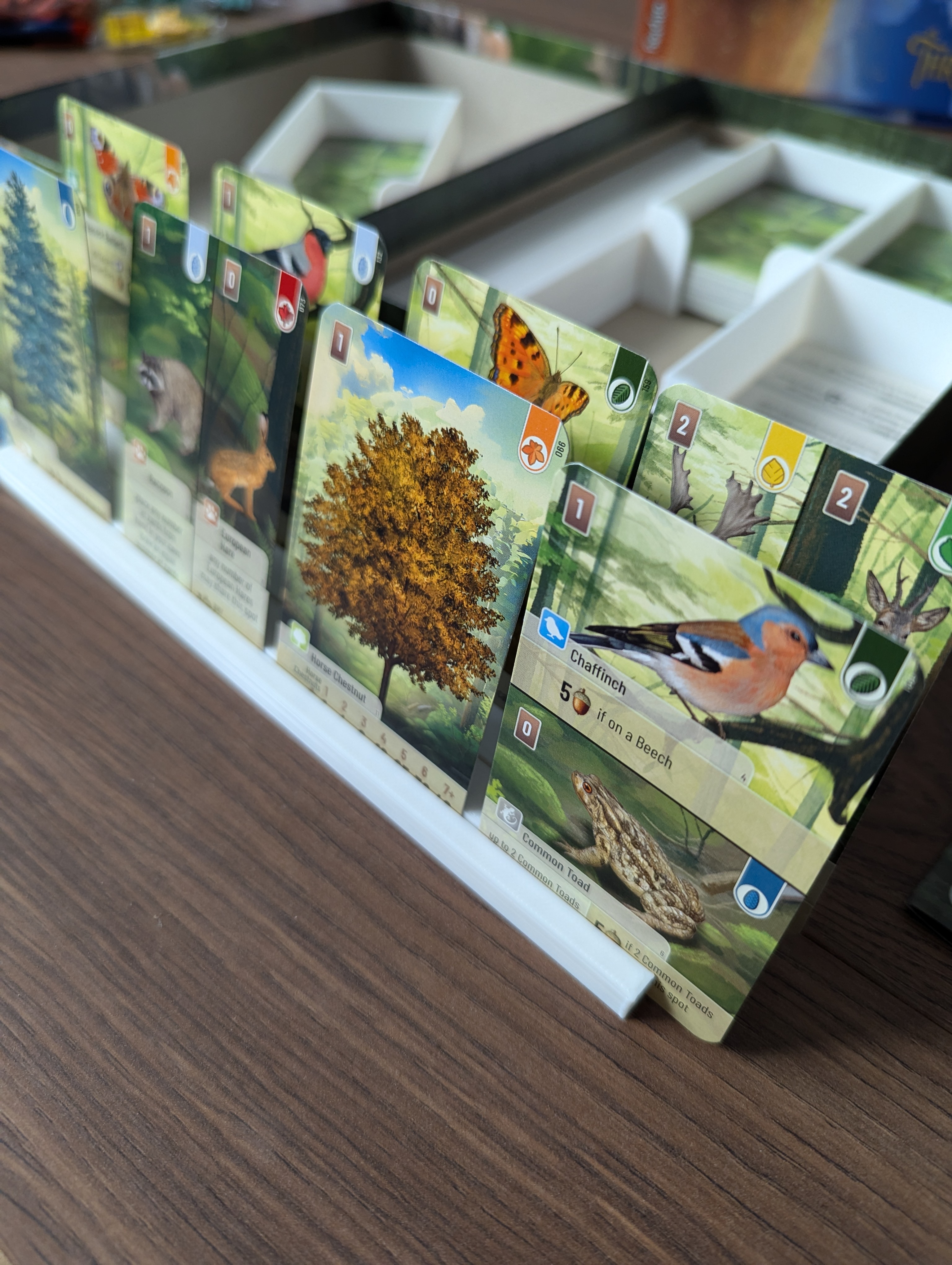 Miniatura 3 do modelo 3D Forest Shuffle insert / card holders