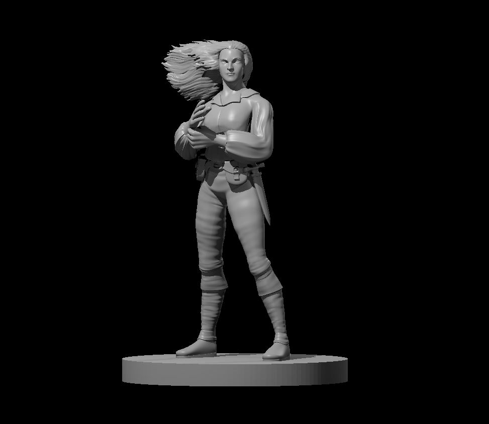 Rogue Collection 3 — miniatura 39
