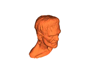 Frankenstein Bust by Peter Farell | Download free STL model