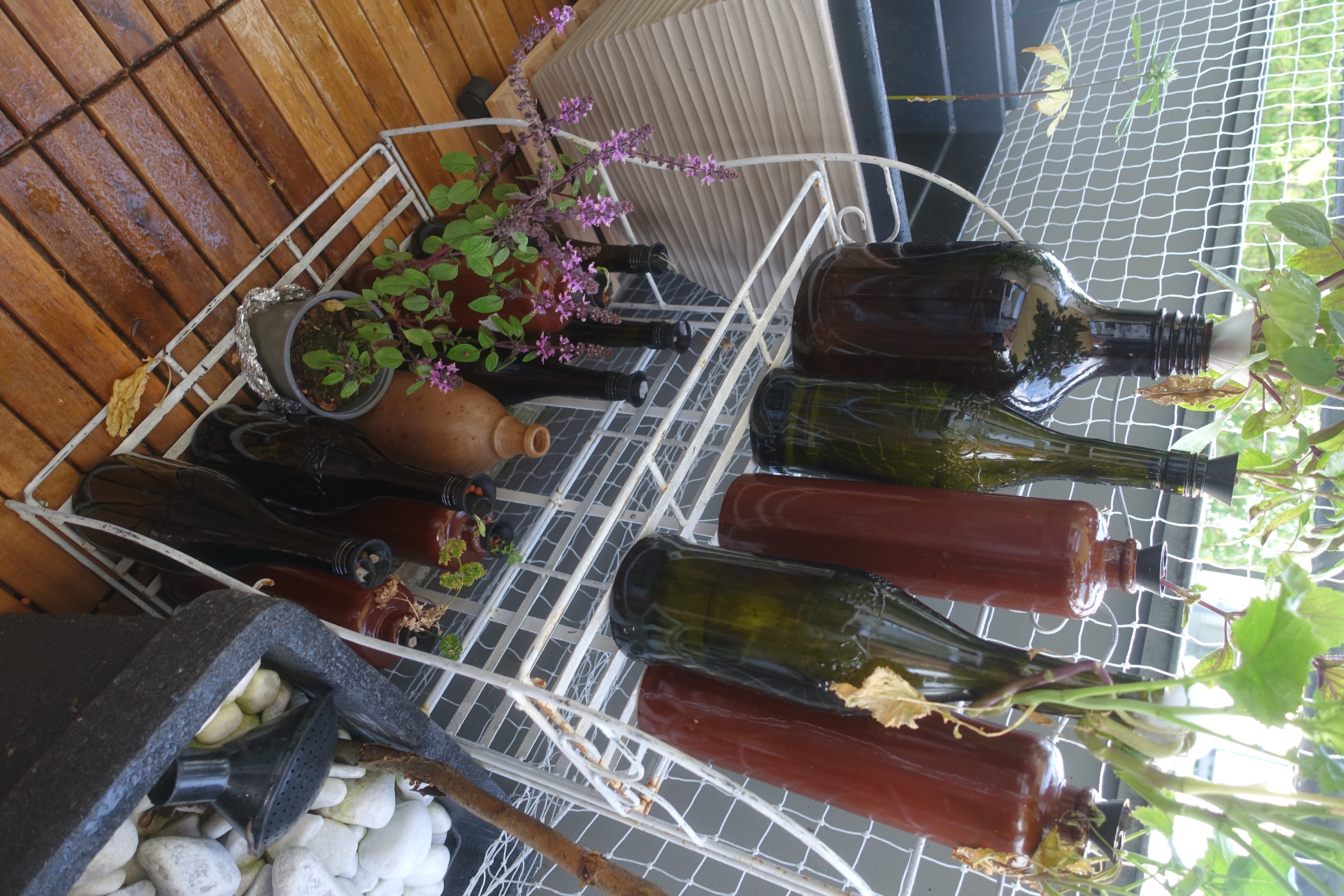 Hydroponic Kratky Bottle Adapter - Vase mode ultrafast — thumbnail 8