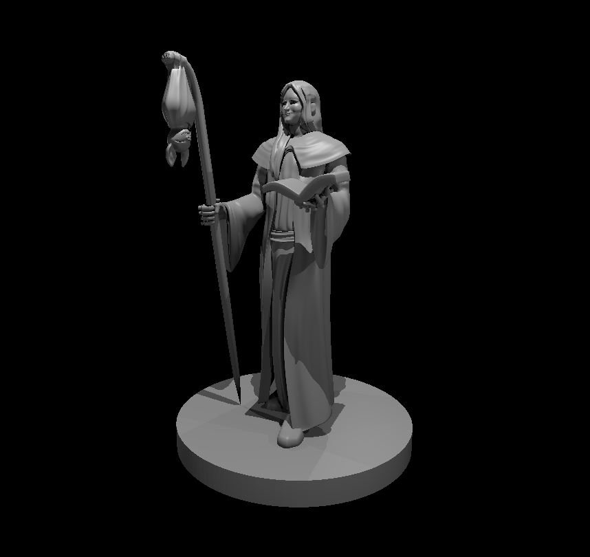 Miniatura 81 do modelo 3D Wizard Collection 3