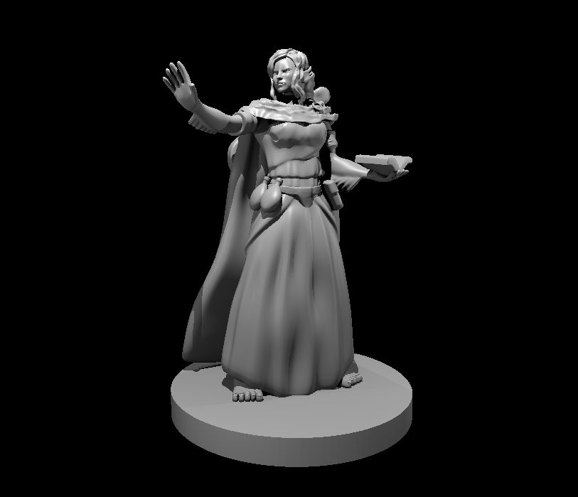Miniatura 100 do modelo 3D Wizard Collection 3