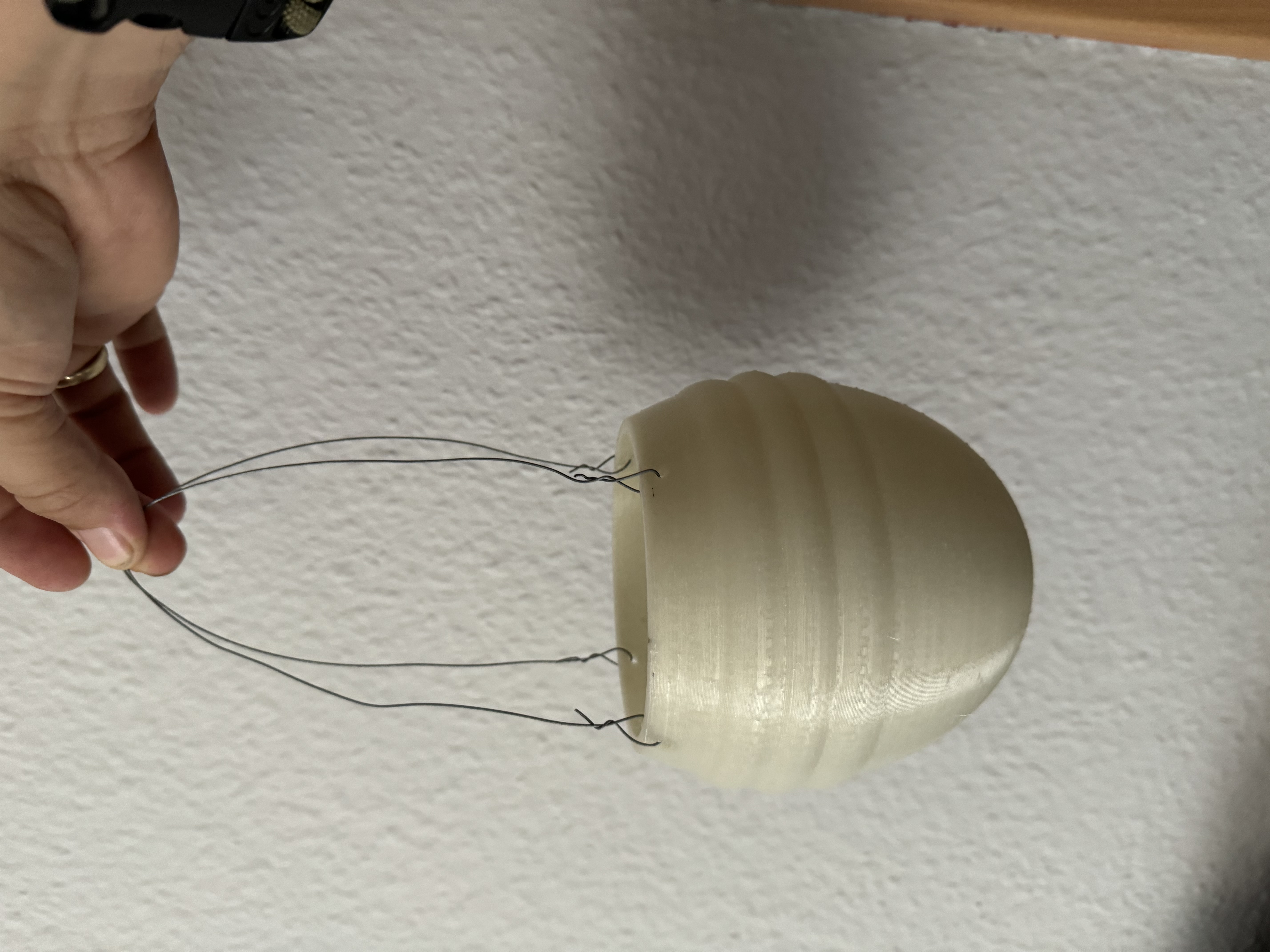 Hanging flower pot