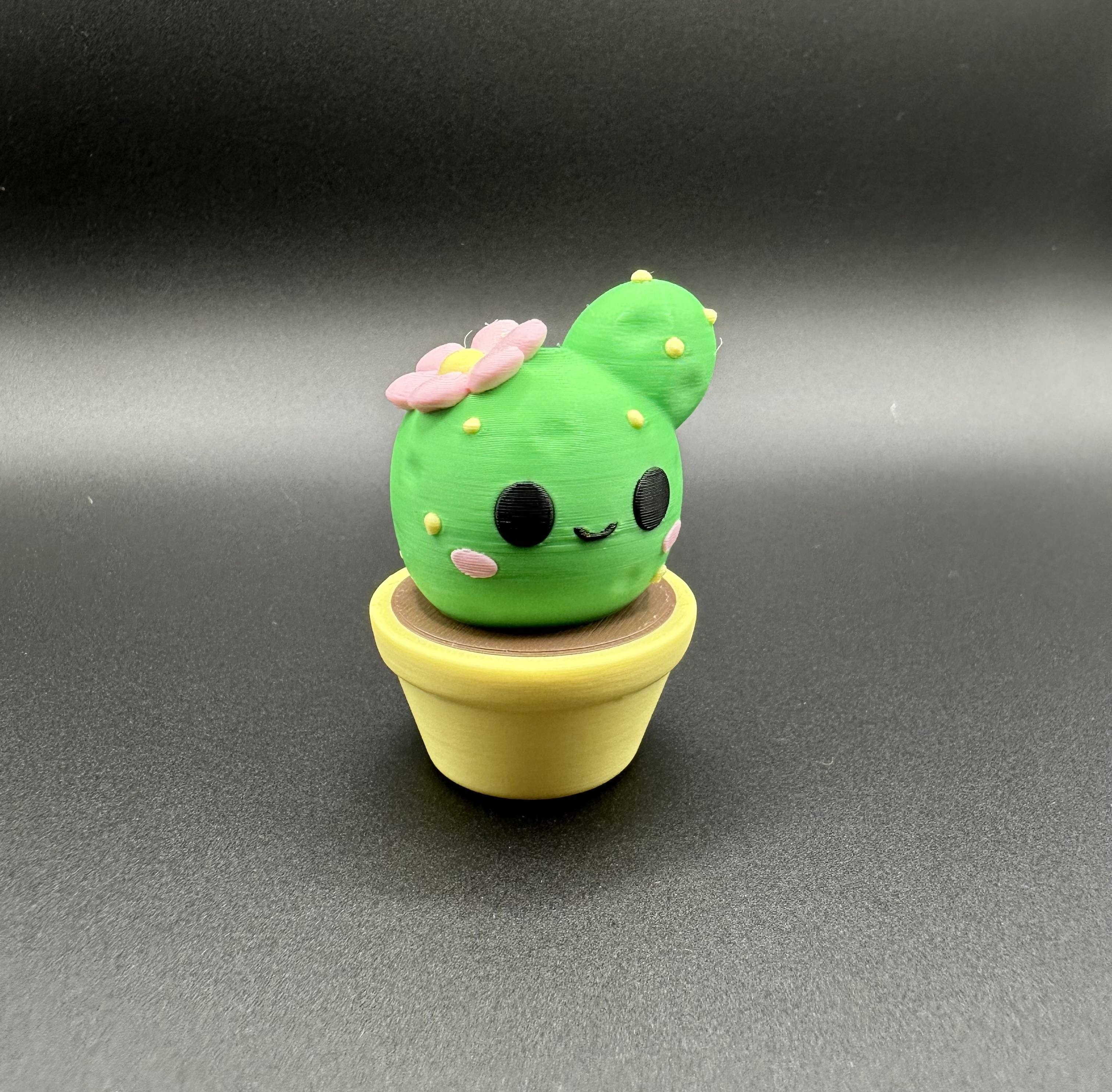 Miniatura 2 do modelo 3D CUTE CACTUS