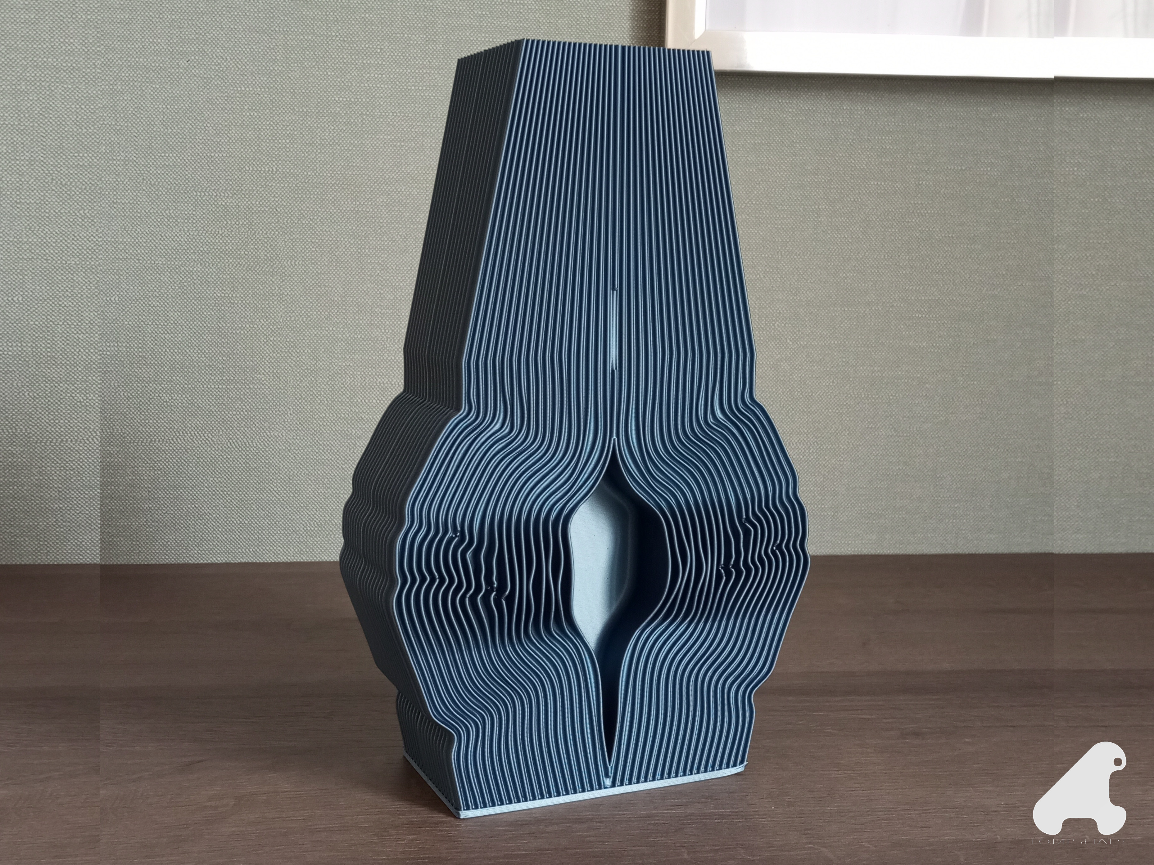 VASE DUALITY