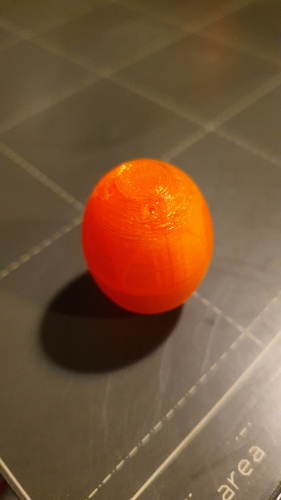 Truffle training dog — thumbnail 2