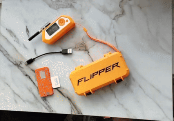 Flipper Zero Case