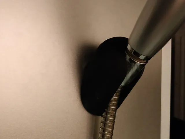 Shower holder
