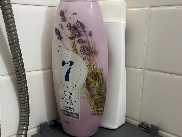 Shower Shelf