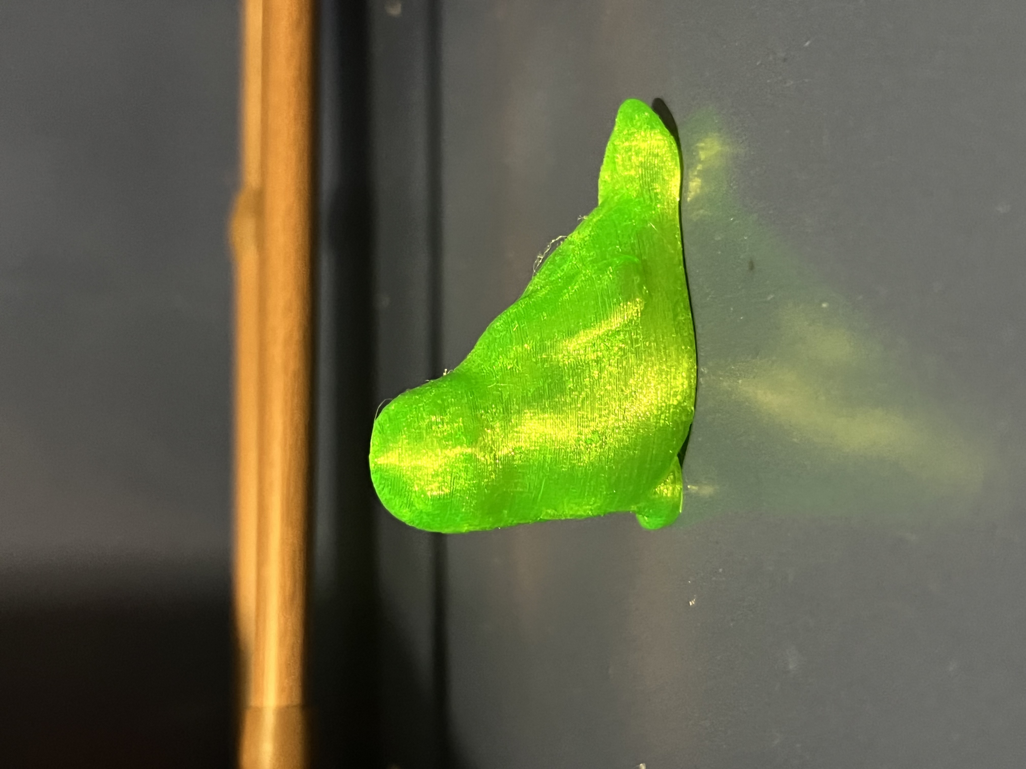 Hollow Squishy Seal