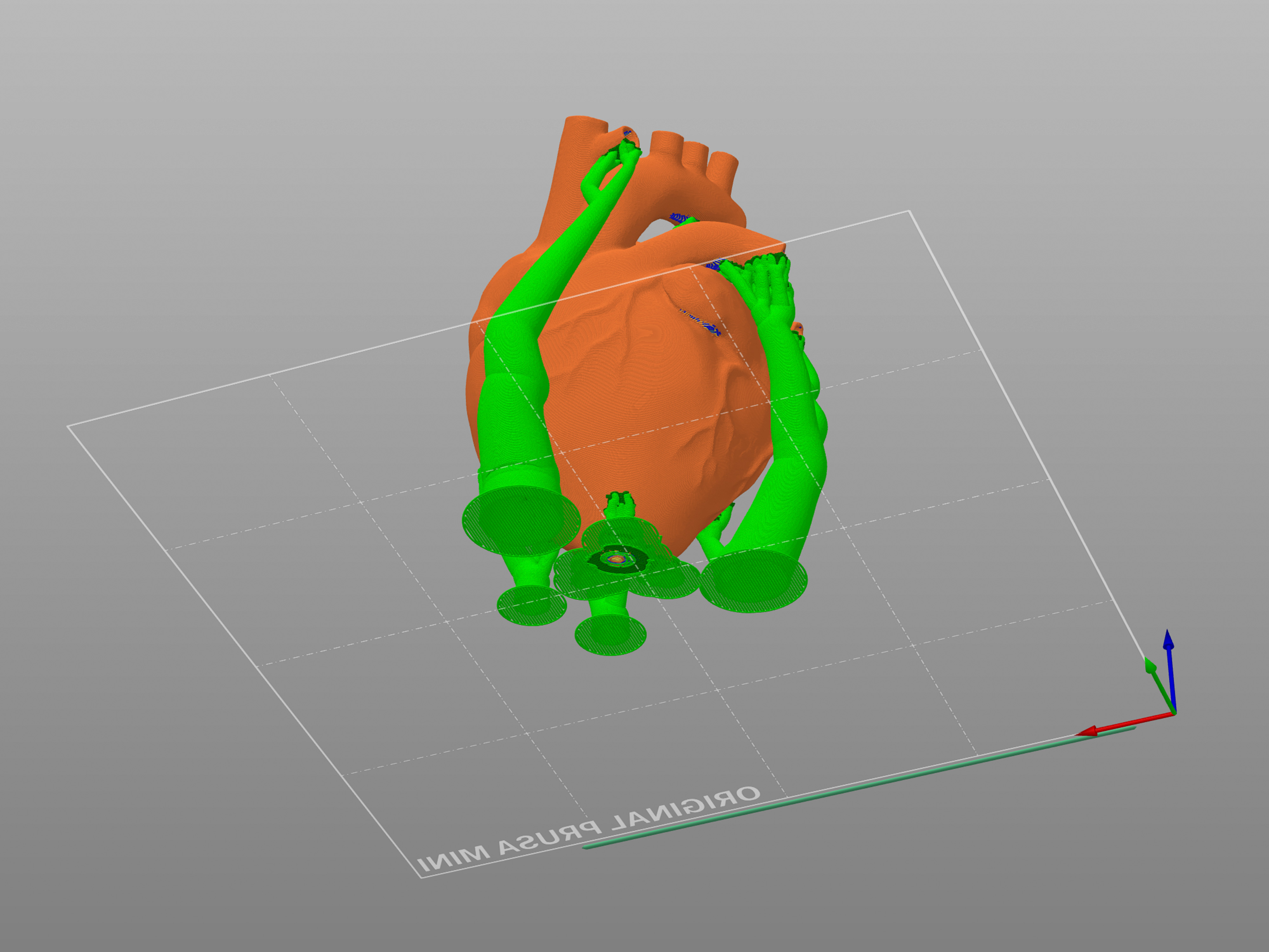 Miniatura 3 do modelo 3D Anatomical Heart (Solid Body)