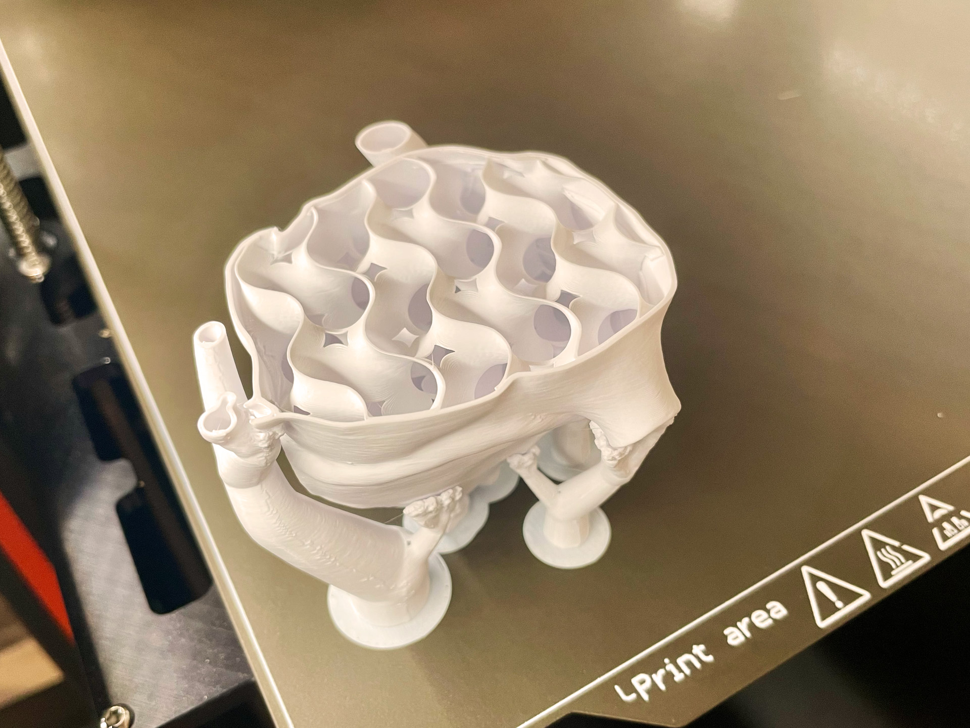 Miniatura 5 do modelo 3D Anatomical Heart (Solid Body)