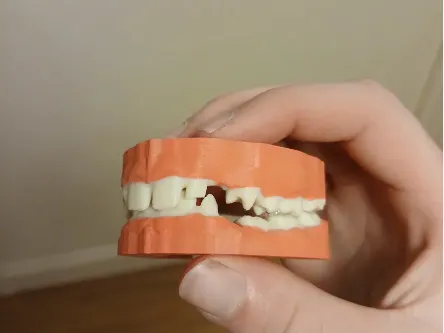 teeth