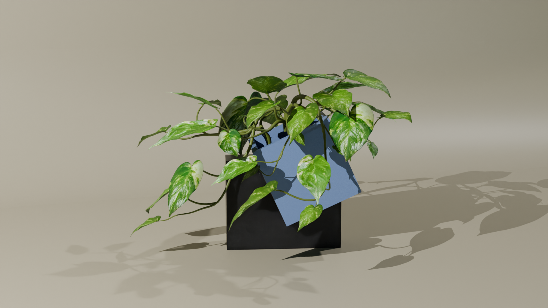 Tumble Intersect Pot Plant - Home Decor